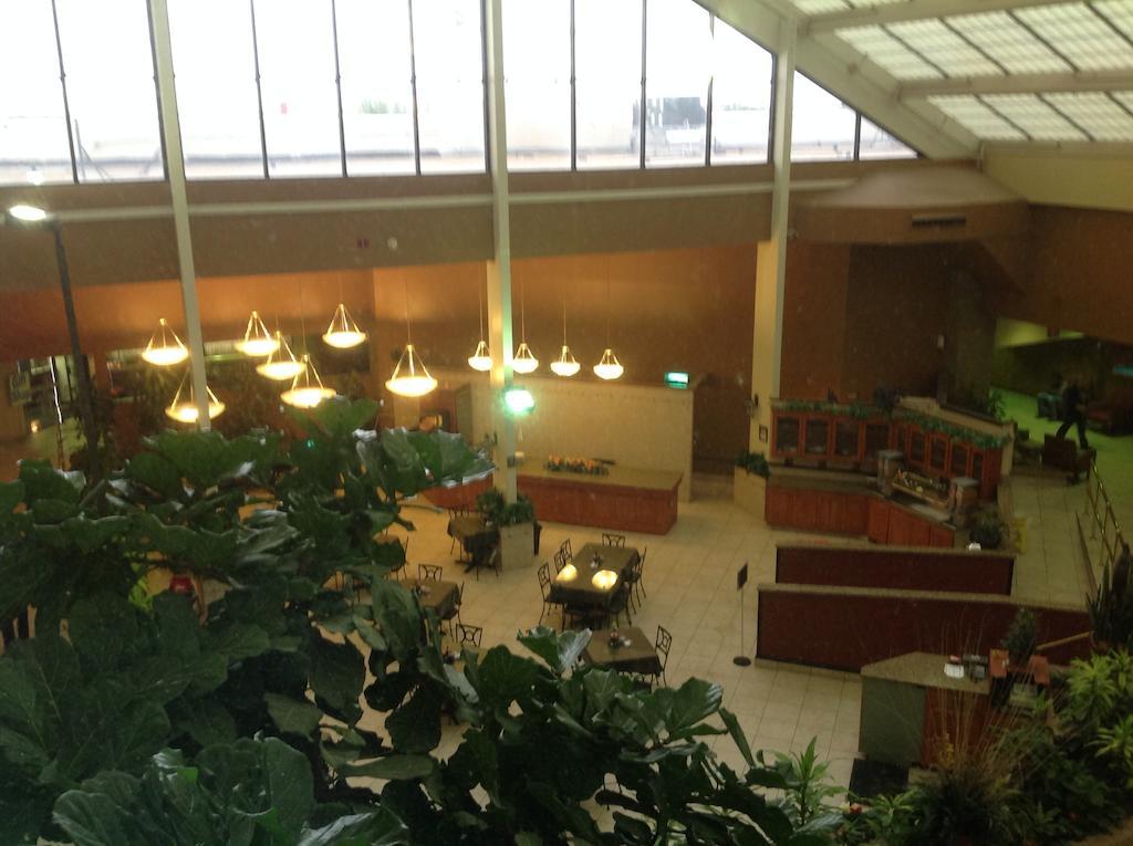 Wyndham Garden Amarillo Hotel Kültér fotó