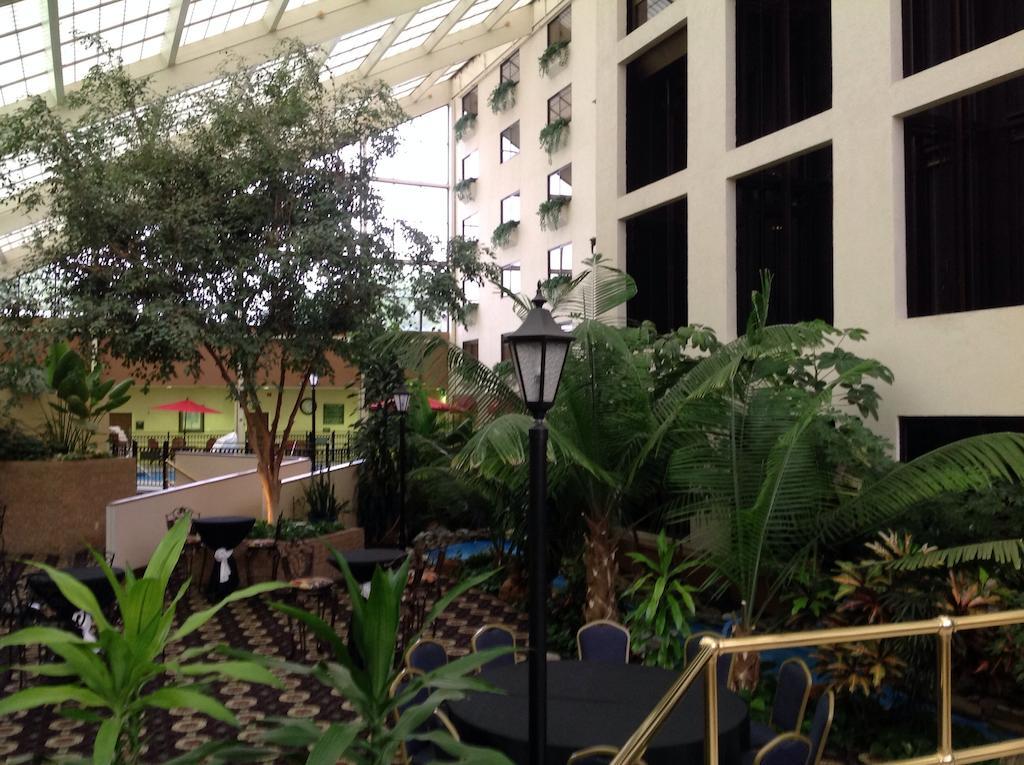 Wyndham Garden Amarillo Hotel Kültér fotó
